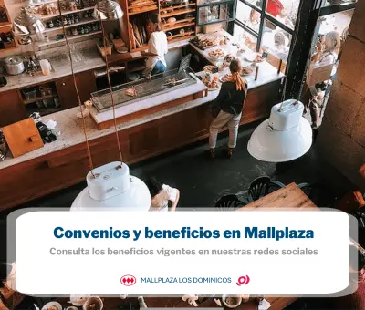 Décimo Tercera Notaría de Santiago Pablo José Hales Beseler — foto 4 de 4